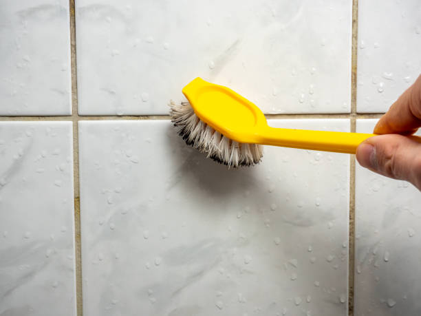 Best Office Mold Removal Services  in Mason City, IA