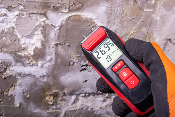 Best Water Damage Restoration  in Mason City, IA