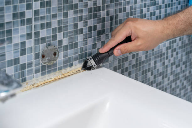 Best Best Mold Removal Companies  in Mason City, IA