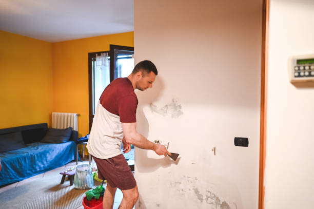 Reliable Mason City, IA Mold Removal Solutions